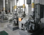 Vilter AK456 Ammonia Compressor at a brewery.